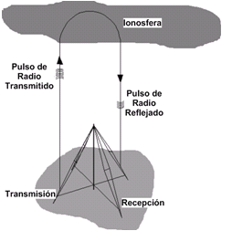 trans-recep